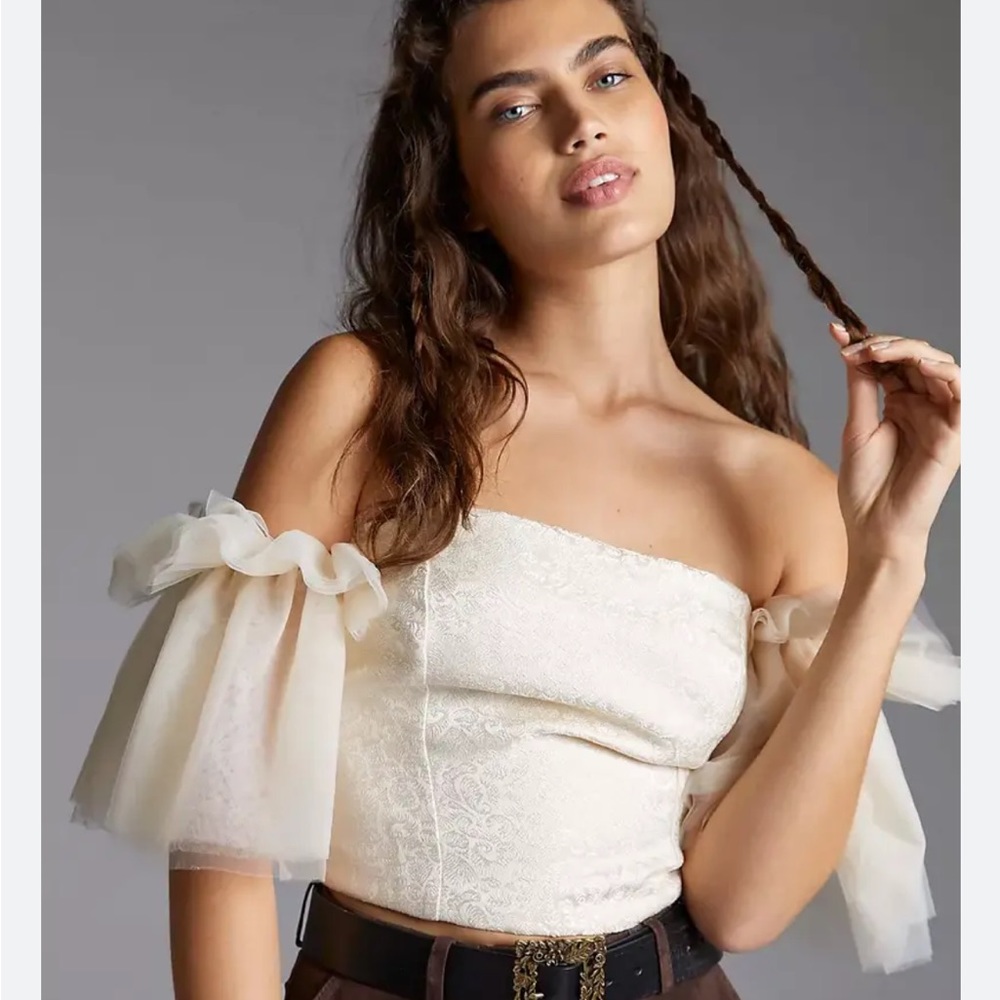 Anthropologie cropped tulle sleeve top